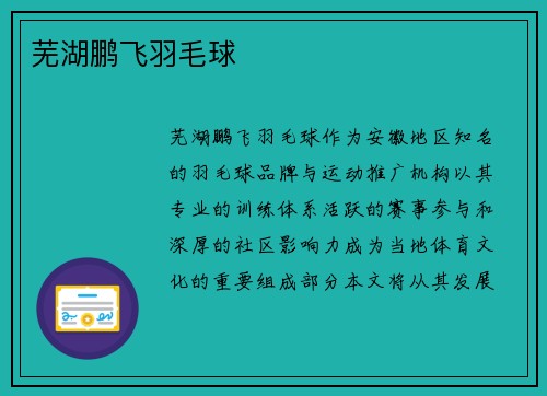 芜湖鹏飞羽毛球