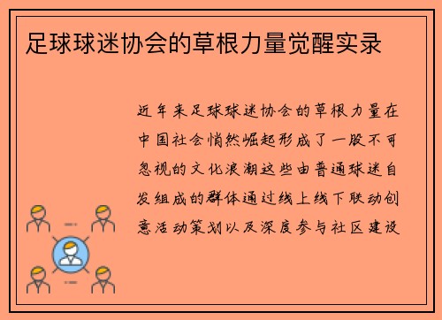 足球球迷协会的草根力量觉醒实录